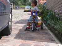 /album/convive-en-armonia/img-6225-jpg/